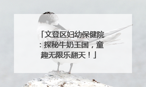 文登区妇幼保健院：探秘牛奶王国，童趣无限乐翻天！