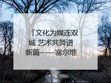 文化为媒连双城 艺术共舞谱新篇——塞尔维亚科瓦契察市代表团访问日照
