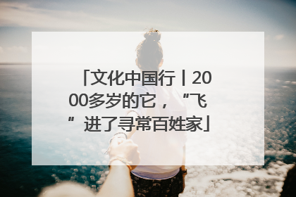 文化中国行丨2000多岁的它，“飞”进了寻常百姓家