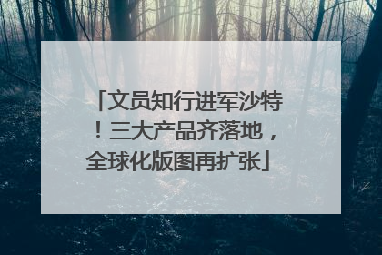 文员知行进军沙特！三大产品齐落地，全球化版图再扩张