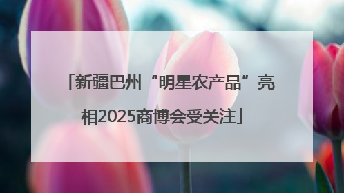 新疆巴州“明星农产品”亮相2025商博会受关注