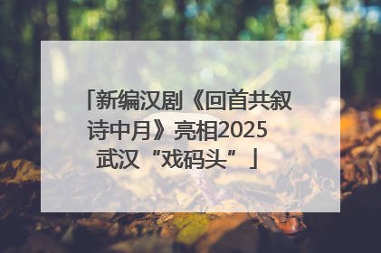 新编汉剧《回首共叙诗中月》亮相2025武汉“戏码头”