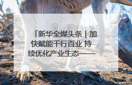 新华全媒头条｜加快赋能千行百业 持续优化产业生态——浙江推动人工智能健康有序发展观察