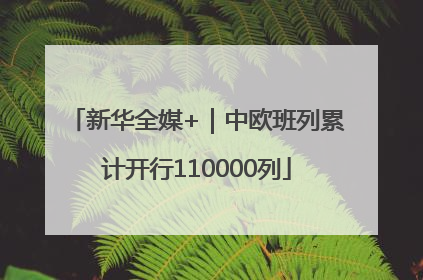新华全媒+｜中欧班列累计开行110000列