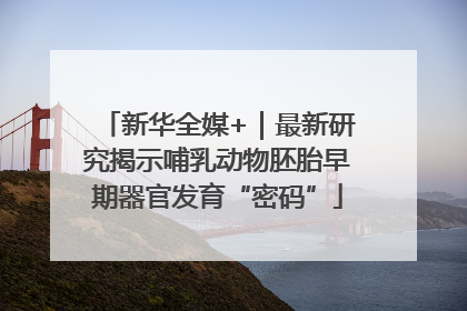 新华全媒+｜最新研究揭示哺乳动物胚胎早期器官发育“密码”