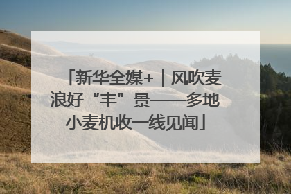 新华全媒+｜风吹麦浪好“丰”景——多地小麦机收一线见闻