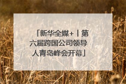 新华全媒+丨第六届跨国公司领导人青岛峰会开幕