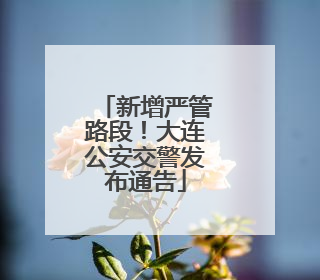 新增严管路段！大连公安交警发布通告