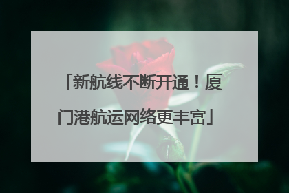 新航线不断开通！厦门港航运网络更丰富