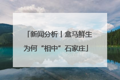 新闻分析丨盒马鲜生为何“相中”石家庄