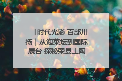 时代光影 百部川扬｜从泡菜坛到国际展台 探秘荣县土陶的“破圈”之路