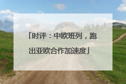 时评：中欧班列，跑出亚欧合作加速度