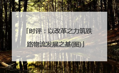 时评：以改革之力筑铁路物流发展之基(图)