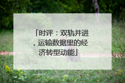 时评：双轨并进，运输数据里的经济转型动能
