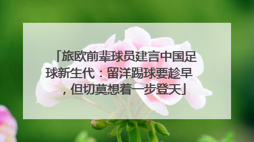 旅欧前辈球员建言中国足球新生代：留洋踢球要趁早，但切莫想着一步登天