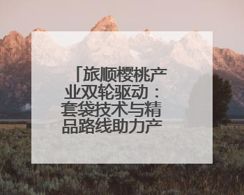 旅顺樱桃产业双轮驱动：套袋技术与精品路线助力产业提质增效