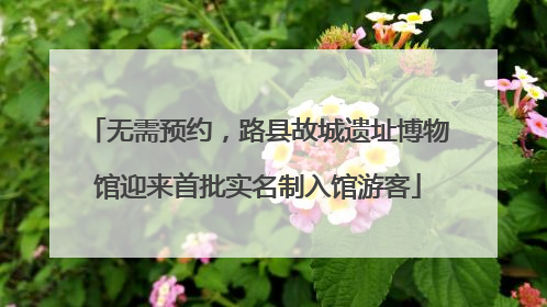 无需预约，路县故城遗址博物馆迎来首批实名制入馆游客