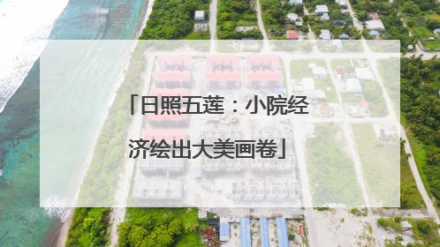 日照五莲：小院经济绘出大美画卷