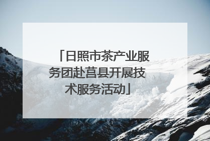 日照市茶产业服务团赴莒县开展技术服务活动