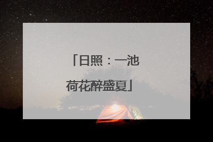 日照：一池荷花醉盛夏