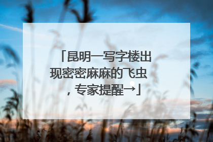 昆明一写字楼出现密密麻麻的飞虫，专家提醒→