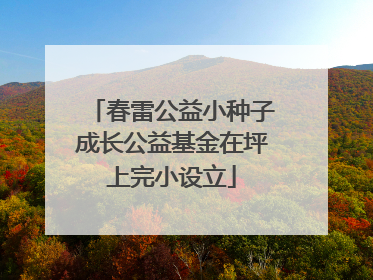 春雷公益小种子成长公益基金在坪上完小设立