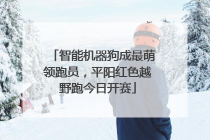 智能机器狗成最萌领跑员，平阳红色越野跑今日开赛