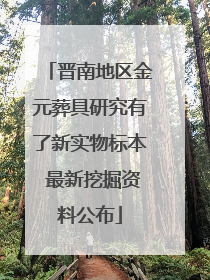 晋南地区金元葬具研究有了新实物标本 最新挖掘资料公布