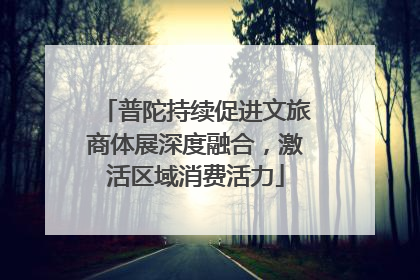 普陀持续促进文旅商体展深度融合，激活区域消费活力