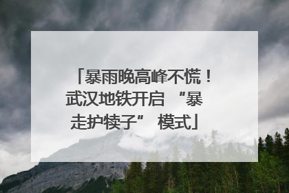 暴雨晚高峰不慌！武汉地铁开启 “暴走护犊子” 模式