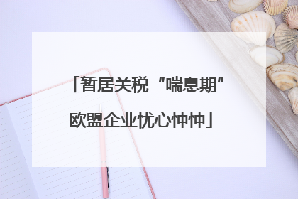 暂居关税“喘息期” 欧盟企业忧心忡忡