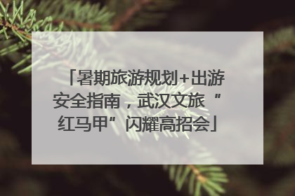 暑期旅游规划+出游安全指南，武汉文旅“红马甲”闪耀高招会