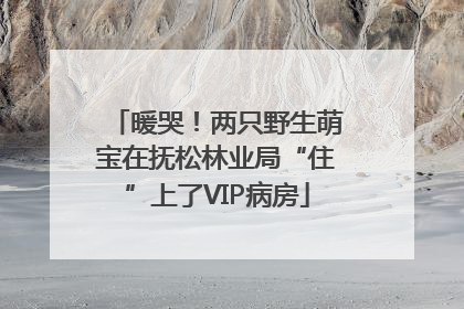 暖哭！两只野生萌宝在抚松林业局“住”上了VIP病房