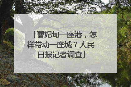 曹妃甸一座港，怎样带动一座城？人民日报记者调查