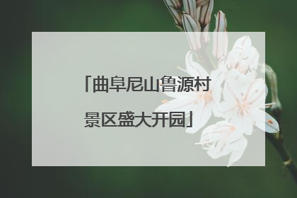 曲阜尼山鲁源村景区盛大开园
