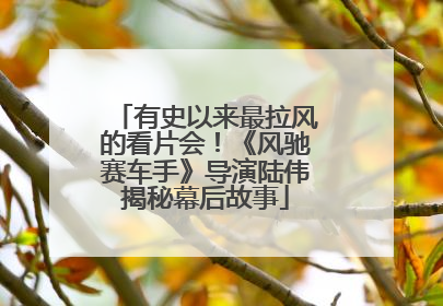 有史以来最拉风的看片会！《风驰赛车手》导演陆伟揭秘幕后故事