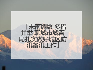 未雨绸缪 多措并举 聊城市城管局扎实做好城区防汛备汛工作