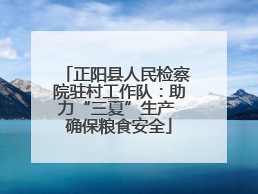 正阳县人民检察院驻村工作队：助力“三夏”生产 确保粮食安全