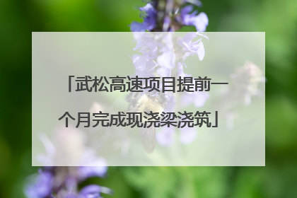 武松高速项目提前一个月完成现浇梁浇筑