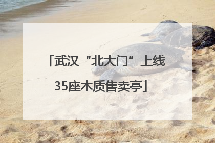 武汉“北大门”上线35座木质售卖亭