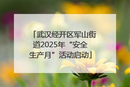 武汉经开区军山街道2025年“安全生产月”活动启动