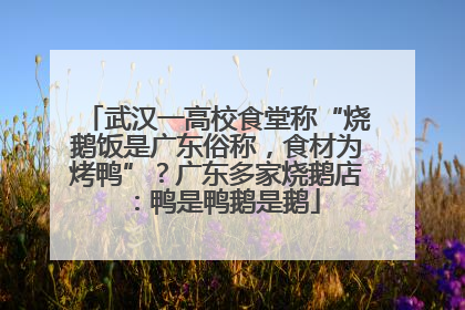 武汉一高校食堂称“烧鹅饭是广东俗称，食材为烤鸭”？广东多家烧鹅店：鸭是鸭鹅是鹅