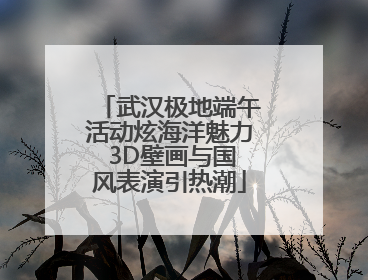 武汉极地端午活动炫海洋魅力 3D壁画与国风表演引热潮