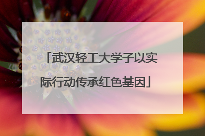 武汉轻工大学子以实际行动传承红色基因