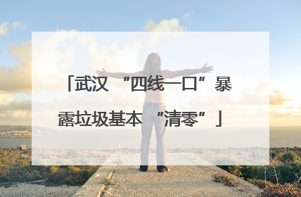 武汉 “四线一口”暴露垃圾基本 “清零”