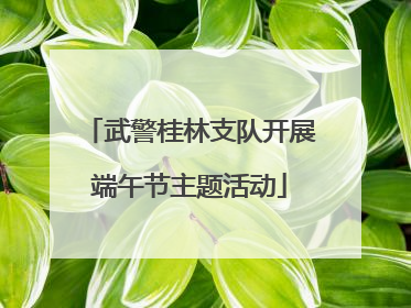 武警桂林支队开展端午节主题活动
