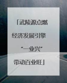 武陵源点燃经济发展引擎 “一业兴”带动百业旺