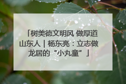 树美德文明风 做厚道山东人｜杨东亮：立志做龙居的“小丸童”