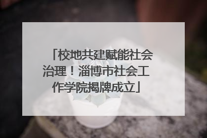 校地共建赋能社会治理！淄博市社会工作学院揭牌成立