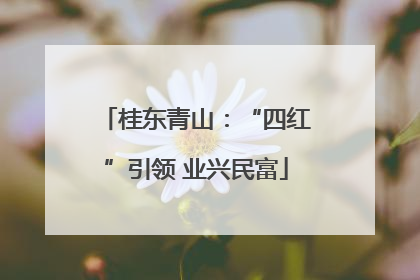 桂东青山：“四红”引领 业兴民富